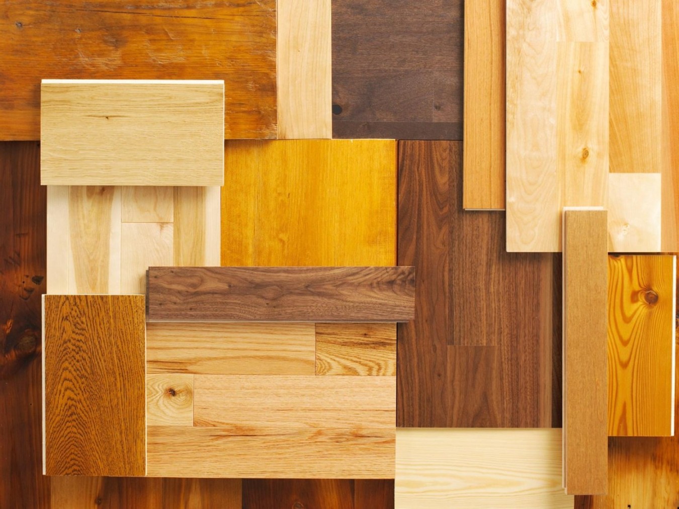 Understand The Different Types of Plywood for Your Furniture